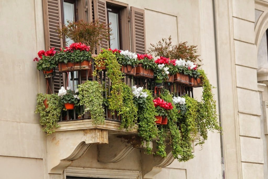 Uno de los pasos más importantes que tienes que seguir en la guía detallada para crear tu jardín urbano, es tener en cuenta la luz y exposición solar de tus plantas.