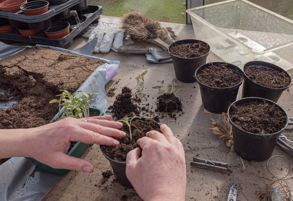 La elección de macetas y tierra para tus plantas es uno de los pasos que te mostramos en la guía de cómo hacer tu jardín urbano en casa